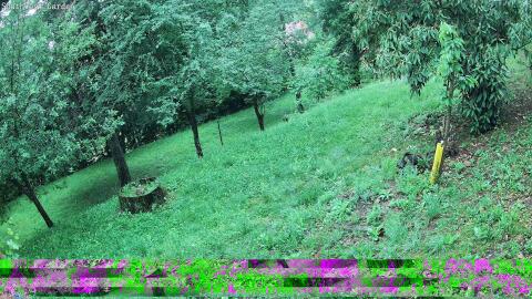 1507-20260603082753-17.jpg