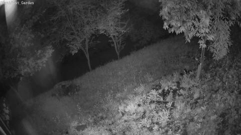 1526-20260603220630-06.jpg