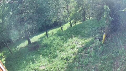 1584-20260604181129-00.jpg