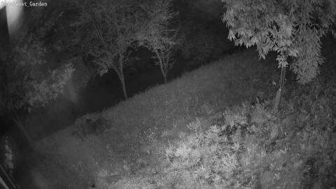 1595-20260604215357-07.jpg