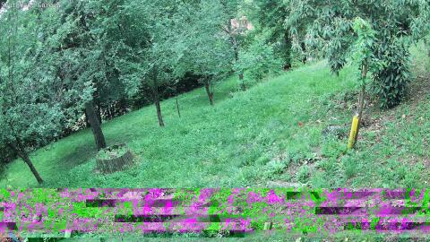 1689-20260605075222-30.jpg