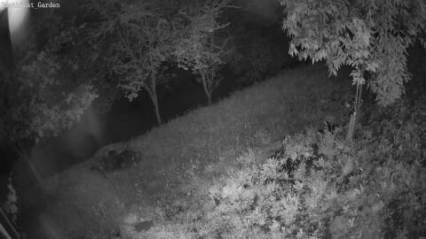 1738-20260606021117-15.jpg