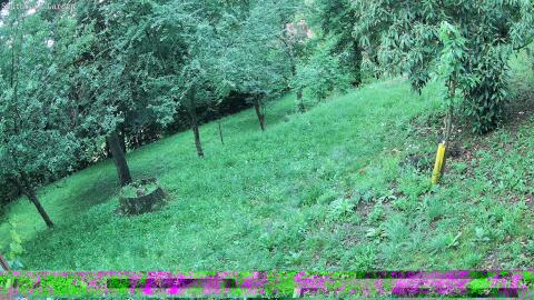 1755-20260606054854-14.jpg