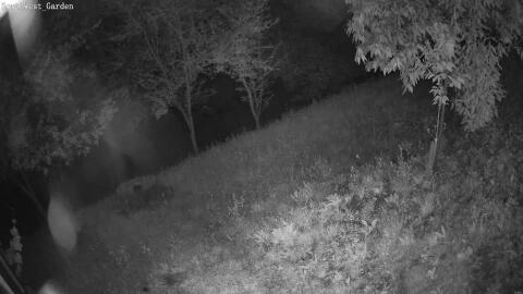 1860-20260607233029-09.jpg