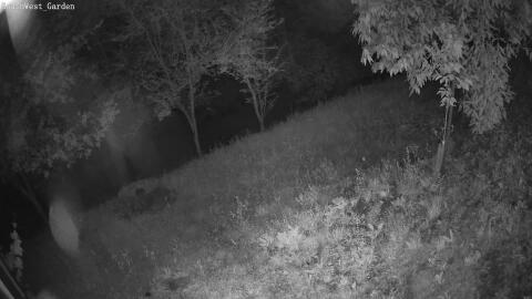 1871-20260608004412-11.jpg
