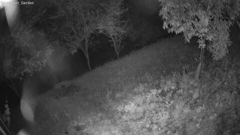 1894-20260608032442-19.jpg