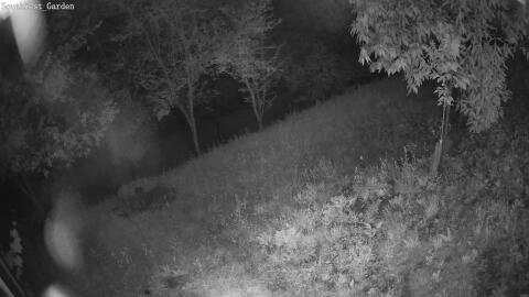 1907-20260608042131-03.jpg