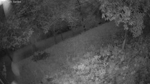 1908-20260608043454-11.jpg