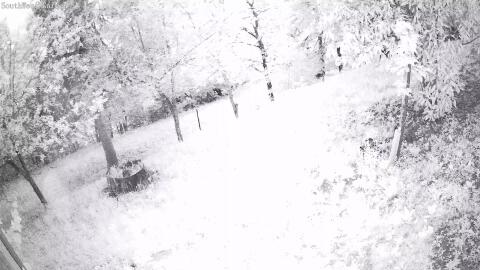 1923-20260608211346-27.jpg