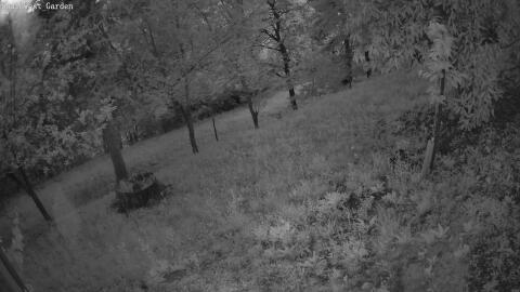 1923-20260608211354-12.jpg