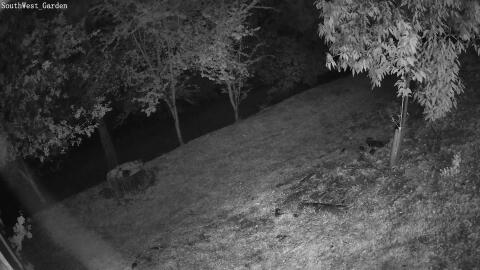 2088-20260611005244-16.jpg