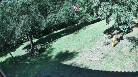 2212-20260612104735-08.jpg