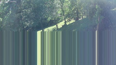 2221-20260612181555-00.jpg