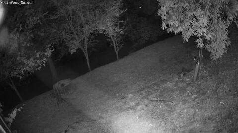 2469-20260615223005-00.jpg