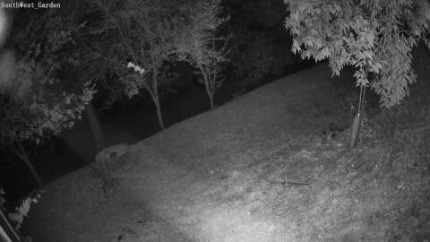 2507-20260616012207-07.jpg