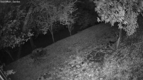 07-20260622004530-05.jpg
