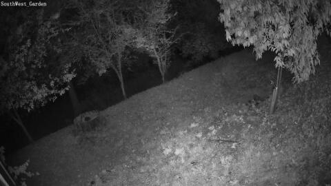 658-20260701014759-00.jpg
