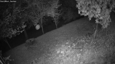 665-20260701022844-09.jpg
