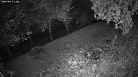 593-20260706040440-02.jpg