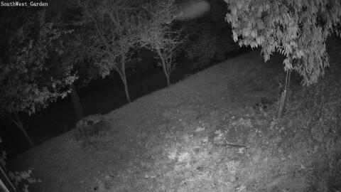 660-20260707040814-25.jpg