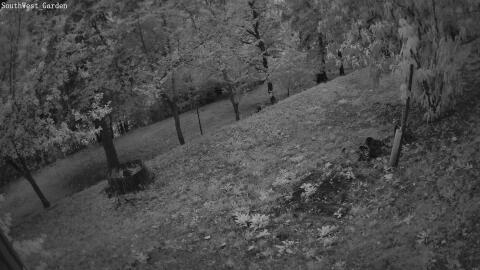 1106-20260711210001-15.jpg