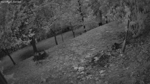 1107-20260711210304-04.jpg