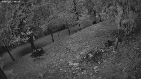 1107-20260711210402-04.jpg