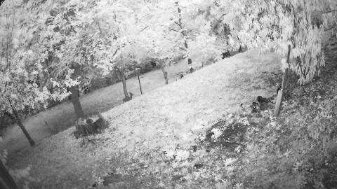 1118-20260711214524-09.jpg