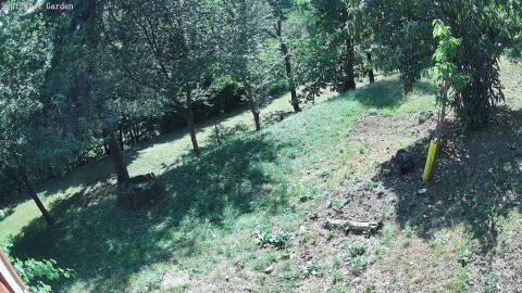 1184-20260712164519-05.jpg