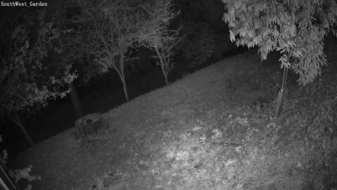 64-20260713011646-15.jpg