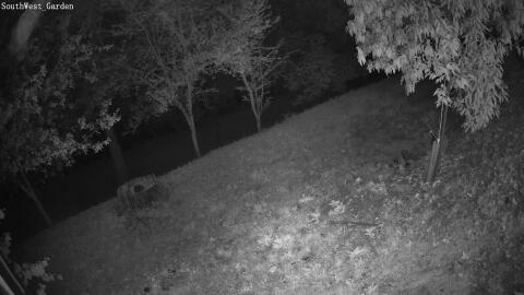 240-20260714043350-15.jpg