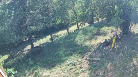 17-20260716174405-01.jpg