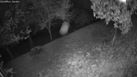 446-20260716040207-08.jpg