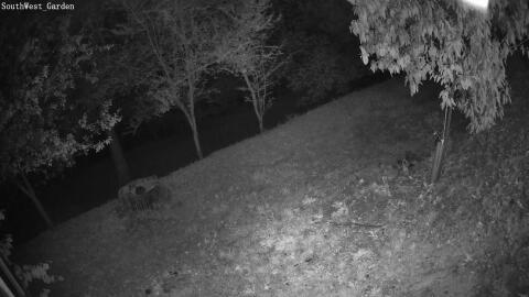 95-20260717040235-11.jpg