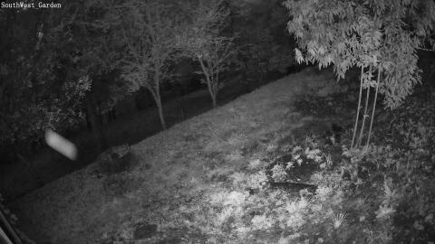 166-20260912060206-34.jpg