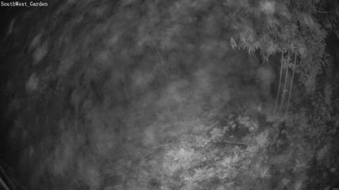 103-20260915053114-11.jpg
