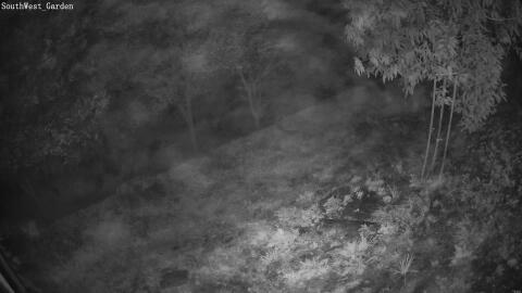 110-20260915060505-08.jpg