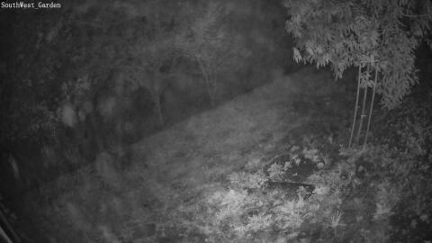 110-20260915060507-06.jpg