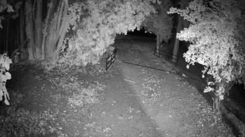 3099-20260909212411-17.jpg