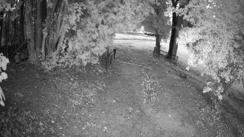 41-20260910193054-24.jpg