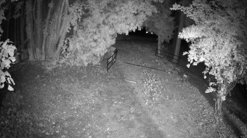 100-20260913225021-18.jpg