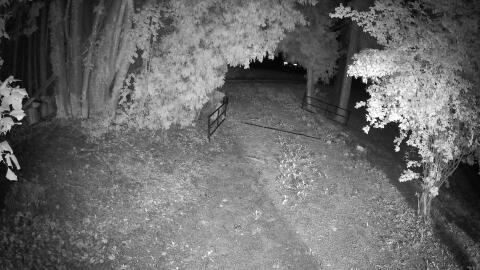 348-20260913024855-05.jpg