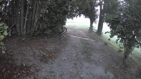 99-20260915061824-14.jpg
